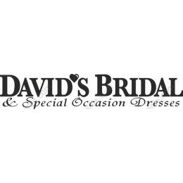 Elegant David's Bridal