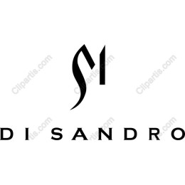 DI SANDRO Elegant Logo