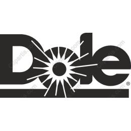 Dynamic Logo
