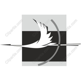 Soaring Elegance - Premium Bird