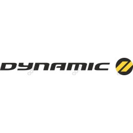 Dynamic Logo and
