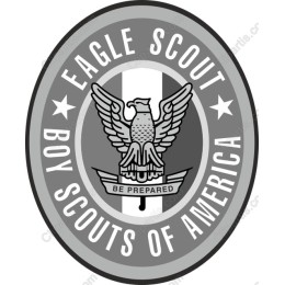 Eagle Scout Emblem