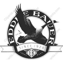 Vintage Goose