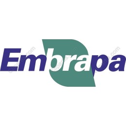 Premium Modern Logo