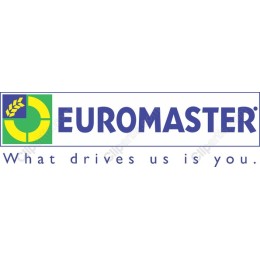 Euromaster Logo