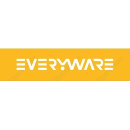 Everyware Modern Logo
