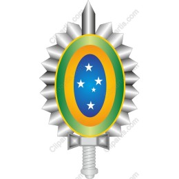 Vibrant Shield Emblem
