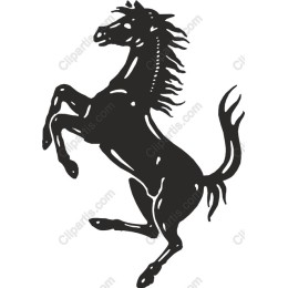 Majestic Rearing Horse