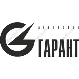 Sleek Modern Branding Logo