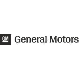 General Motors Logo
