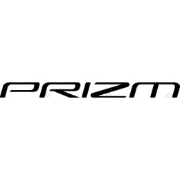 PRIZM Logo