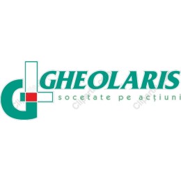 Modern Professional Logo