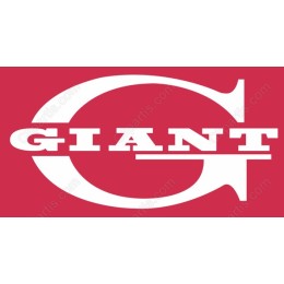Giant Bold Letter G