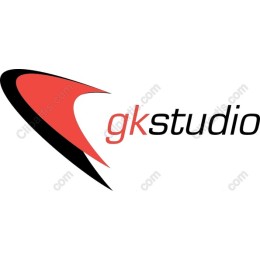 Dynamic Modern Logo