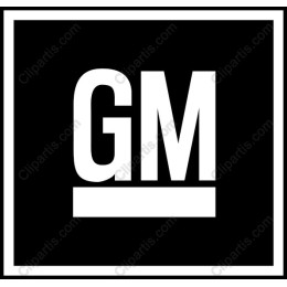 GM Logo