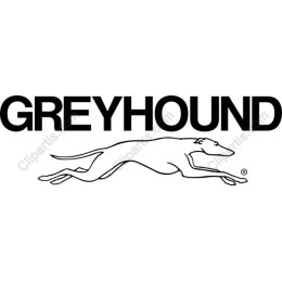 Sleek Greyhound