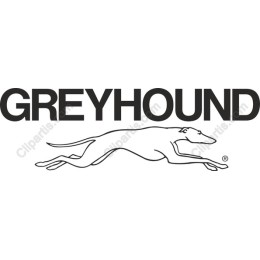 Greyhound - Sleek and Stylish