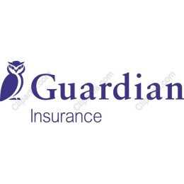 Guardian Insurance Owl