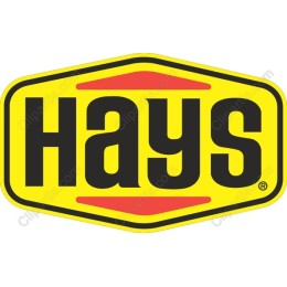 HAYS Logo