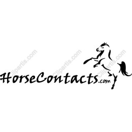 Majestic Horse in Mid-Leap