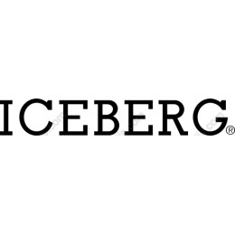 ICEBERG