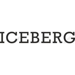 Iceberg