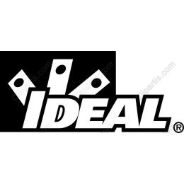 Dynamic Ideal Logo