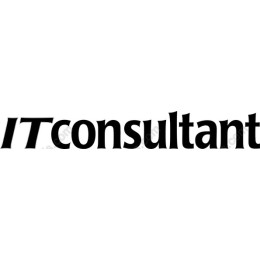 Dynamic IT Consultant