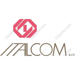 Premium Geometric Logo