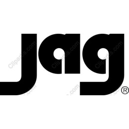 Sleek Monochromatic Logo