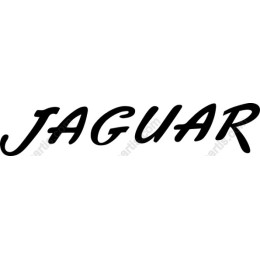 Jaguarwork
