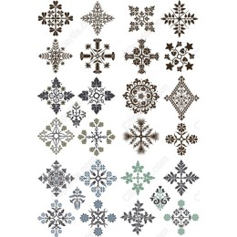 Floral Collection