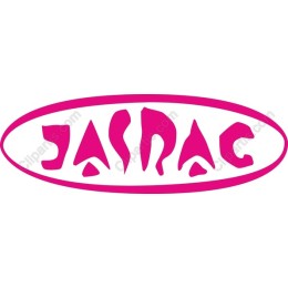 Vibrant Pink Logo