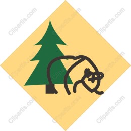 Charming Bear and Pine Tree