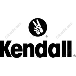 Kendall Peace Hand Gesture