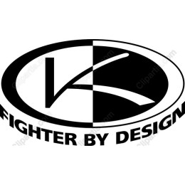 Fighter by