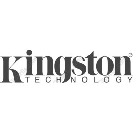 Kingston Technology Logo