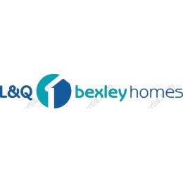 Modern Professional Logo