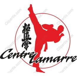 Dynamic Martial Arts Kick
