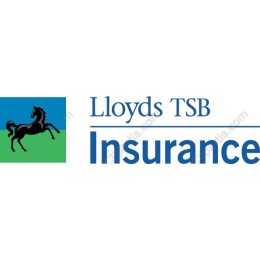Horse for Insurance Branding