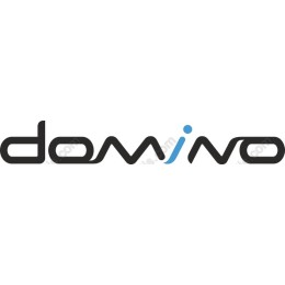 Domino Logo