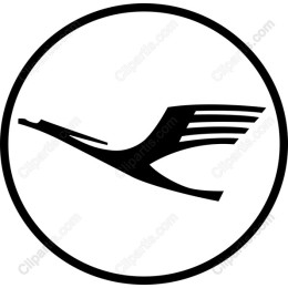 of Soaring Bird