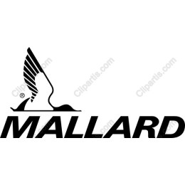 Mallard Wing