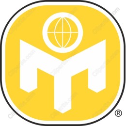 Vibrant Yellow Global Logo