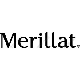 Merillat Typography