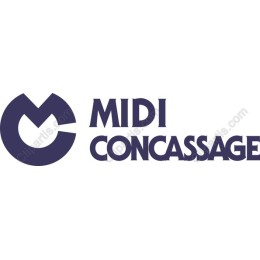 Sleek Modern Logo