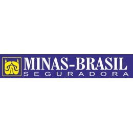 Blue Professional Logo