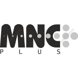 Modern Minimalist with Geometric Elements