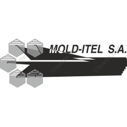 MOLD-ITEL S.A. Professional