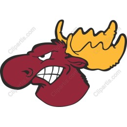 Fierce Moose Head